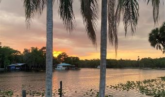 1645 SPRING GARDEN Dr, Astor, FL 32102