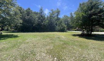 19897 Solomon Blatt Ave, Blackville, SC 29817