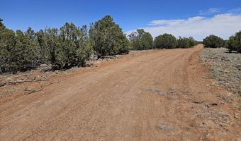 ACR N8388 and N8385, Concho, AZ 85924