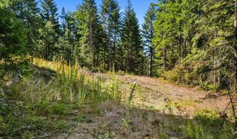 662 Homestead Hollow Rd, Careywood, ID 83809