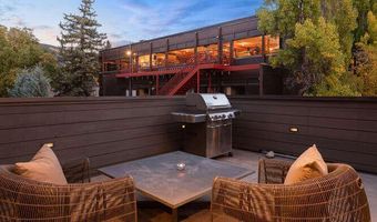 719 E Hopkins Ave 202, Aspen, CO 81611