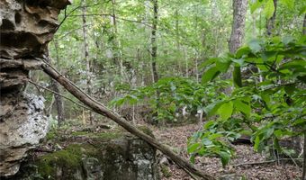 Whiskey Creek Lane, Batesville, AR 72501