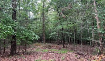 1325 Sherrill Lever Rd B, Blythewood, SC 29016