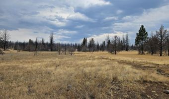 Parazoo Trail Lot 15, Bly, OR 97622