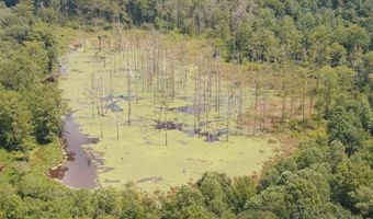 0 CR 437, Ashland, MS 38603