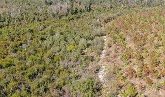 21526 NW Isoletta Ln, Altha, FL 32421