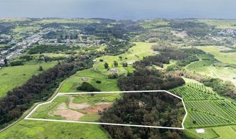 54-1749 PAIPO KANE Rd, Kapaau, HI 96755