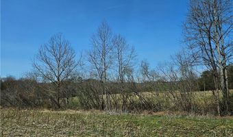 1827 Willis Gap Rd 104, Ararat, VA 24053