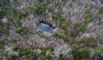 Saint John Road, Braxton, MS 39044