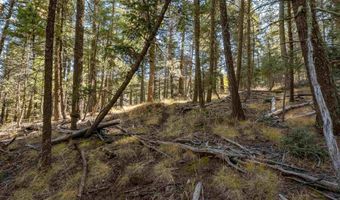 Back Basin Rd lot 145, Angel Fire, NM 87710