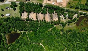 1 32 +/- Acres Airport Rd Lot 5, Andalusia, AL 36421