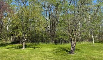 22532 330th Ave, Badger, MN 56714