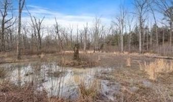 000 Hwy 105, Atkins, AR 72823