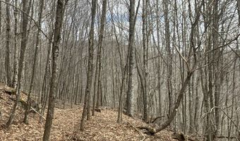 0 TBD Elleber Sods Rd, Bartow, WV 24920