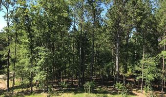 160 Slytown Rd, Amity, AR 71921