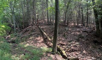 Hall Hollow Road, Austinville, VA 24312