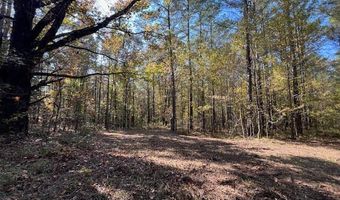Perry Chapel Road, Ashland, MS 38603