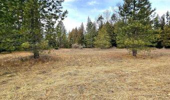 NNA Lightning Creek Rd, Clark Fork, ID 83811