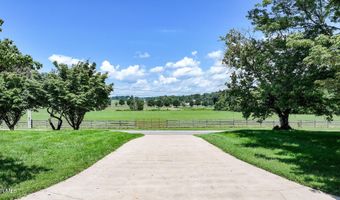 125 Calico Rd, Afton, TN 37616