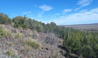 142 County Road 8020, Concho, AZ 85924