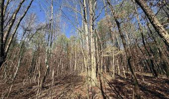 25 Acres +/- Oak Grove Rd, Attalla, AL 35954