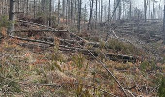 99999 White Pine Ln, Bakersville, NC 28705