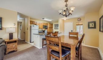 233 PELICAN Cir 1501, Breckenridge, CO 80424