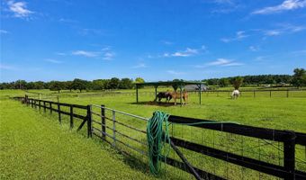 12345 NE 14TH Ave, Anthony, FL 32617