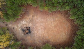 00002 Trickhambridge Rd, Brandon, MS 39042