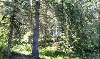Tunnel Tract Parcel1, Banks, OR 97106