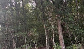 Alcide Circle lot 34 35, Abbeville, LA 70510