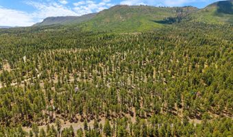 98 County Road 2266, Alpine, AZ 85920