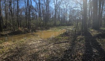 Bogue Chitto Road, Bogue Chitto, MS 39629