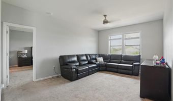 4934 Seton, Ave Maria, FL 34142