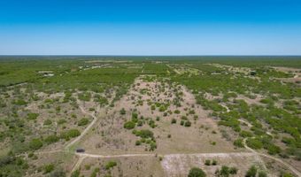 FM 735, Alice, TX 78332