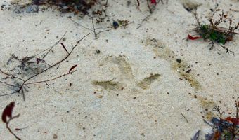 0 Progress Road Rd, Beaumont, MS 39423