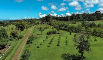 29-2612 KAIWIKI HOMESTEAD Rd, Hakalau, HI 96710