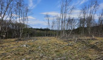 295 Shellstone Rd, Amsterdam, NY 12010