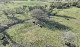 1385 W Fm 219, Hico, TX 76457