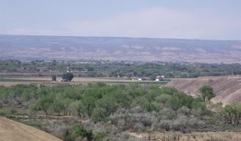 9331 1990 Ln, Austin, CO 81410