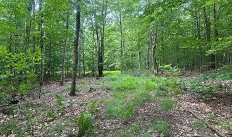 1430 Back Rd, Belvidere Center, VT 05442