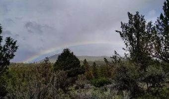 Wayside Circle 13, Beatty, OR 97621