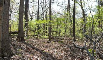 000 Plainview Rd, Anderson, MO 64831