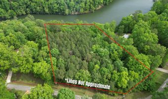 536 COUNTY ROAD 3902, Arley, AL 35541