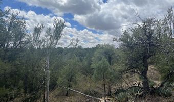 415 XYZ, Arenas Valley, NM 88022
