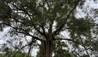 194 Wells Ave, Abbeville, GA 31001