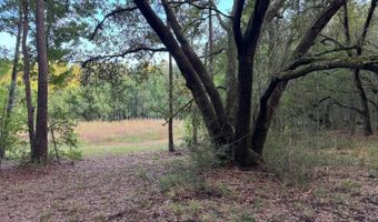 Lower Bay Road, Bay St. Louis, MS 39520
