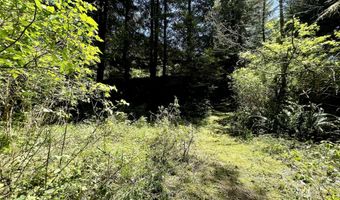 95629 CAPE FERRELO Rd, Brookings, OR 97415