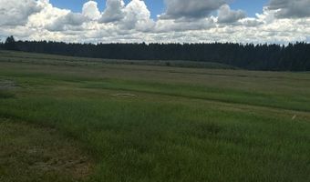 1650 Renegade Fly Dr, Ashton, ID 83429