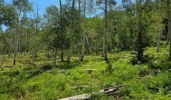 40 Acres Summit Mountain Rd, Brian Head, UT 84719